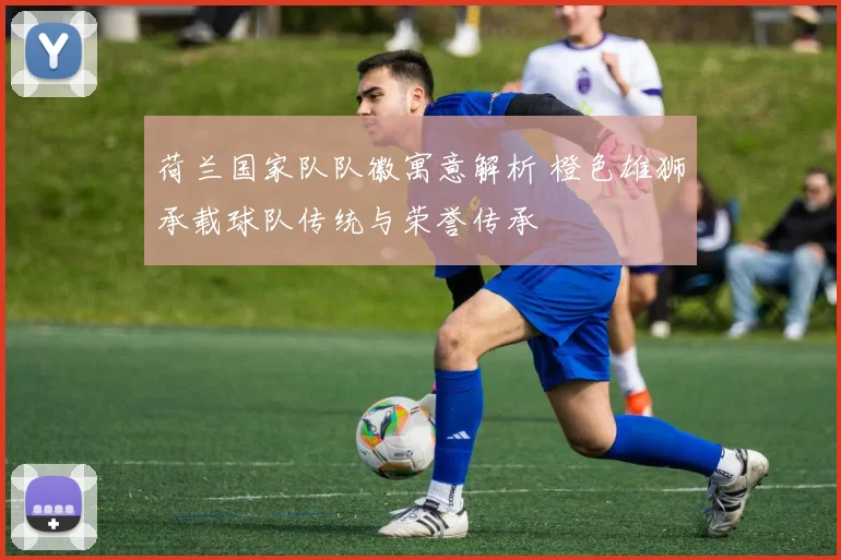 荷兰国家队队徽寓意解析 橙色雄狮承载球队传统与荣誉传承
