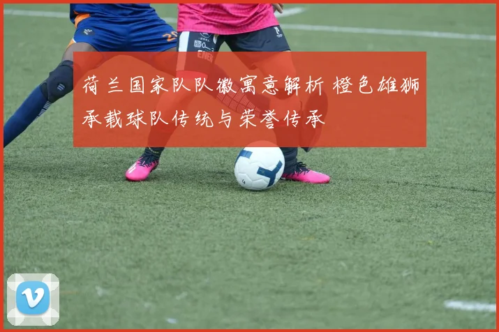 荷兰国家队队徽寓意解析 橙色雄狮承载球队传统与荣誉传承